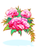 Flores do Amanhecer