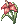 Wild_Flower