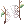 Spiderweb