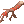 Galho Sangrento