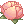 Flor de Lótus