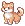 Doge Fofinho