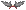 Tiara de Randgris