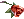 Rosa da Sedução