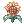Girassol [1]
