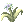 Vital_Flower_