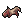Animal's_Skin