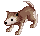 DESERT_WOLF_B