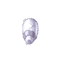 GINSENG_BULLET