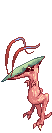 NOVUS